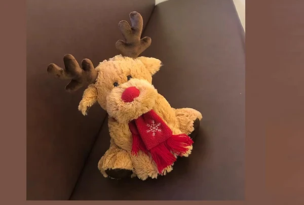 Pehmojen lelujen ylläpito