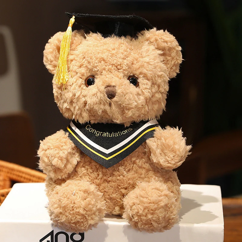 Valmistuminen Teddy -karhu